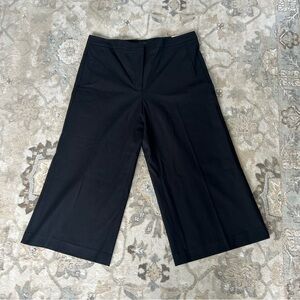 NWT Ann Taylor High rise “Mariana” pant